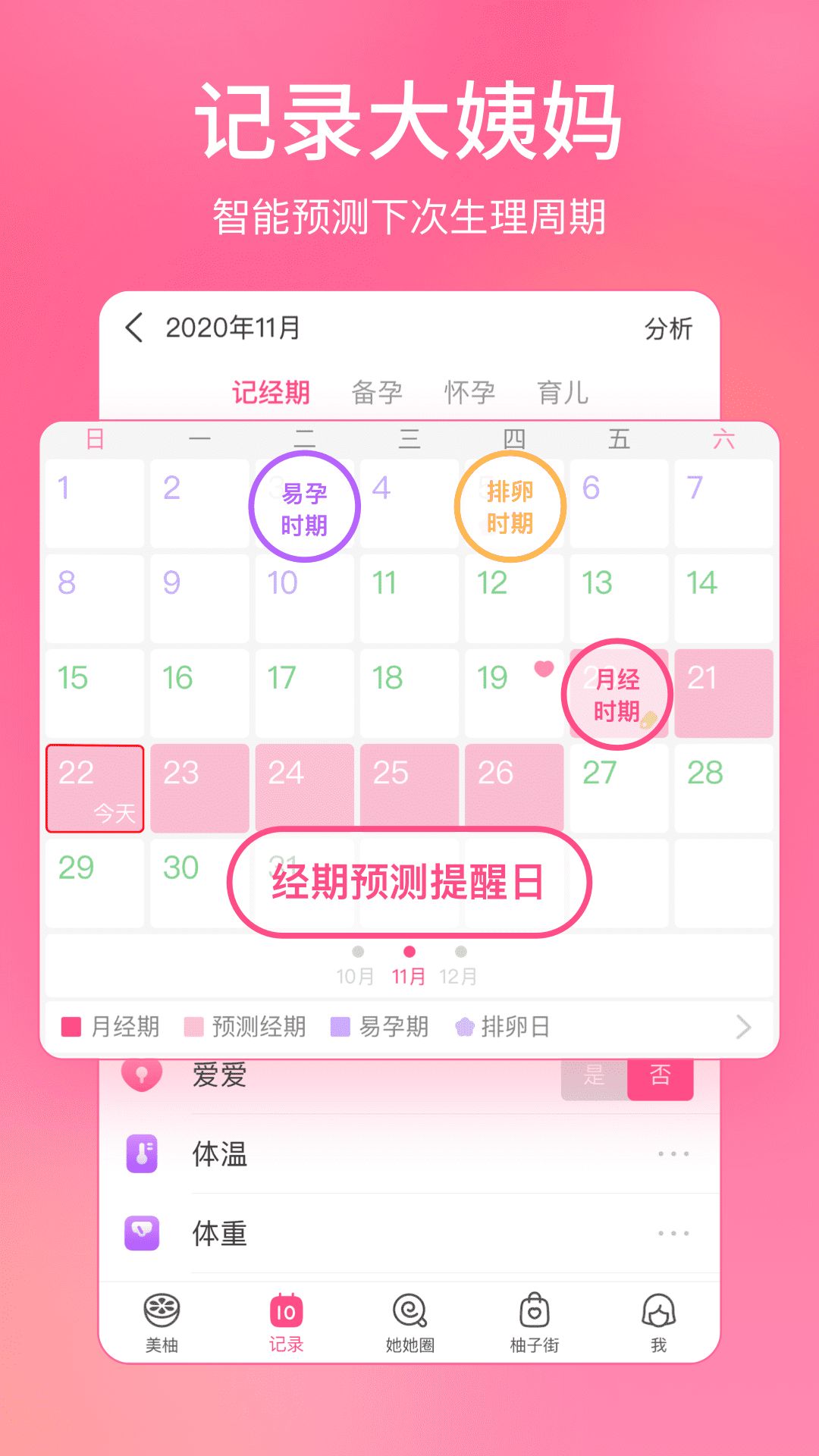 美柚孕期