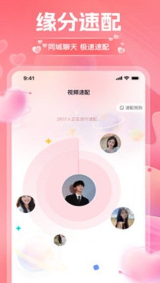 淘爱交友