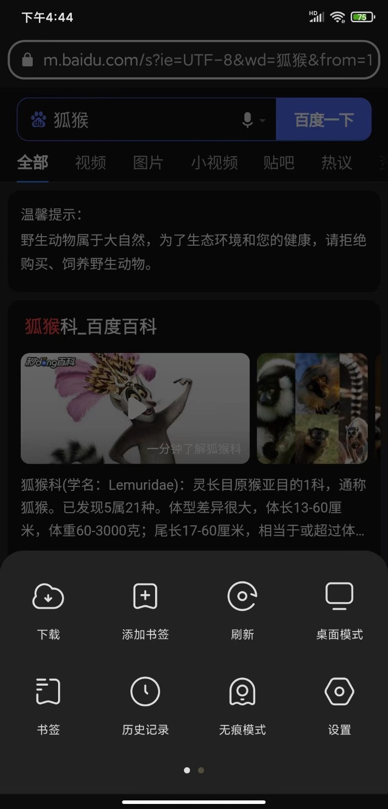 狐猴浏览器app
