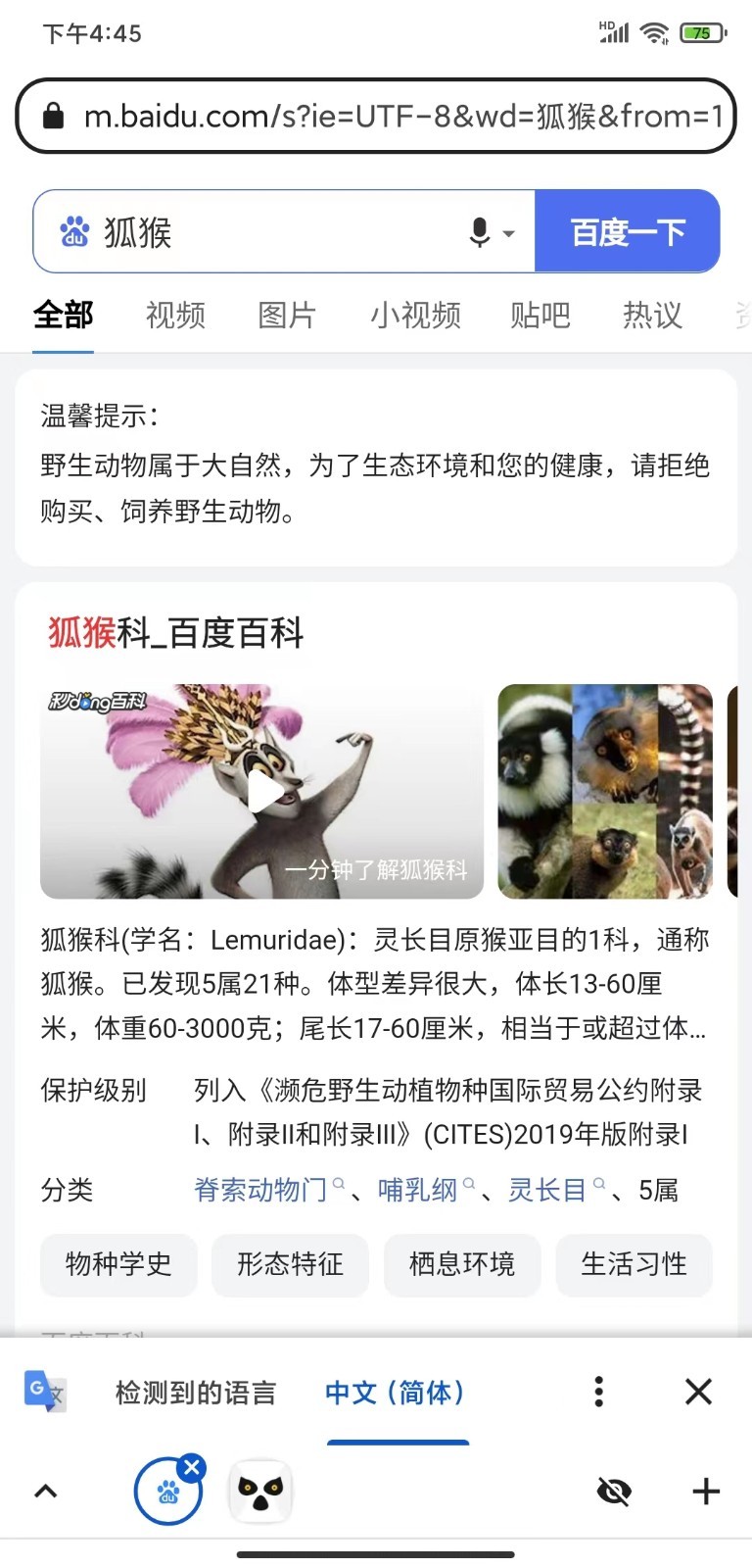 狐猴浏览器app
