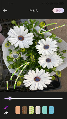 花秀相机