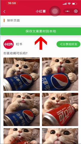 小红书国际版app