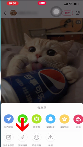 小红书国际版app