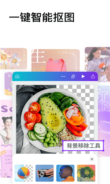Canva可画高级版