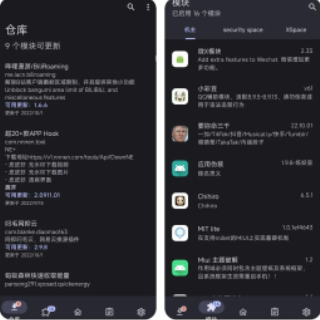 lsp框架最新版