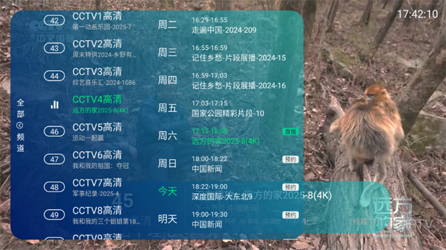 萍萍TV