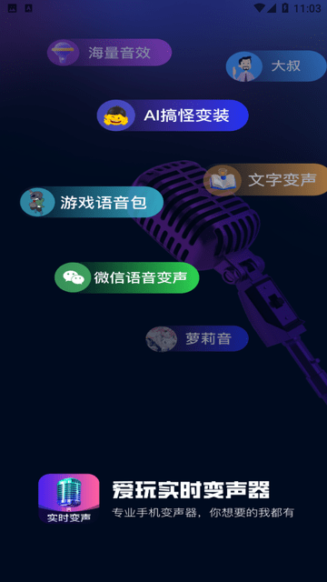 爱玩实时变声器