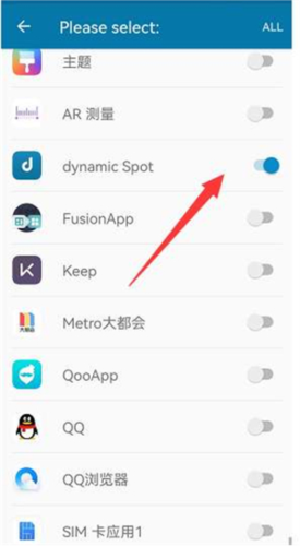 DynamicSpot高级解锁版