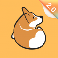 corgi可基