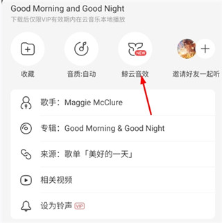 网易云音乐极致精简版