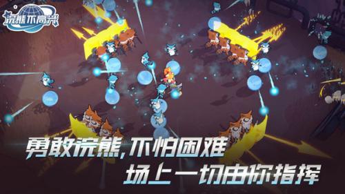 浣熊不高兴国际版