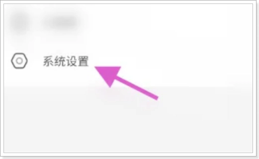 花季v3.060