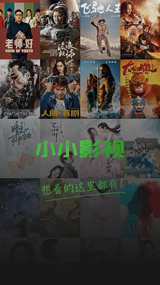 小小影视大全无广告