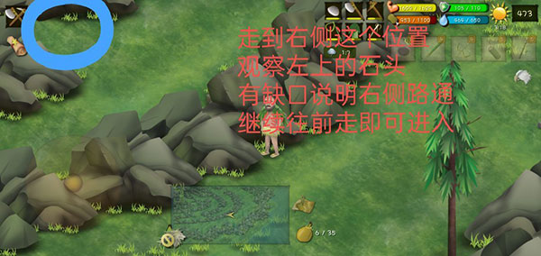 挨饿荒野无限萝卜