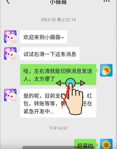 小薇薇神器版