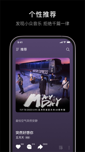 汽水音乐精简版