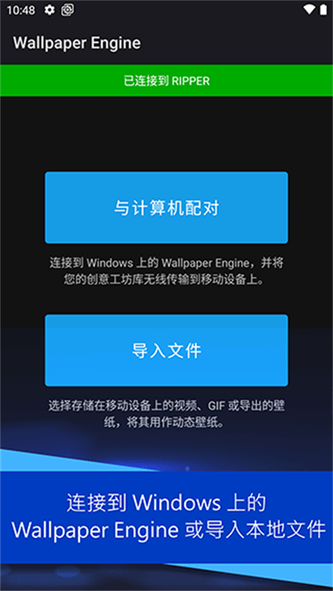 wallpaperengine18+关键词