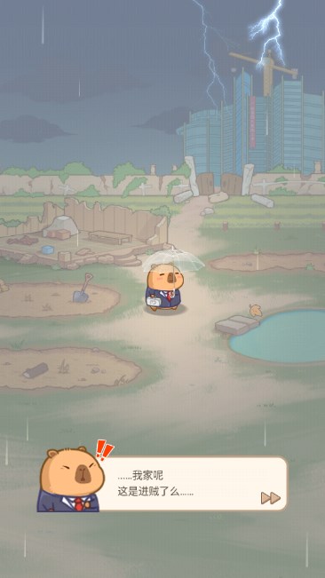慢豚豚的生活