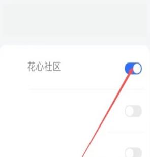 花心社区