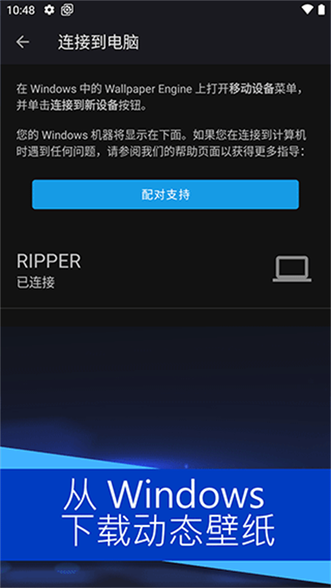 wallpaperengine18+关键词
