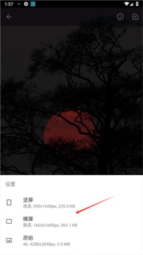 wallpaperengine18+关键词