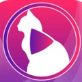 小猫直播官方版