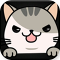 小猫影院