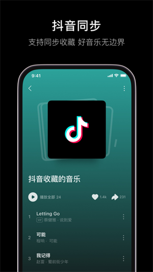 汽水音乐精简版