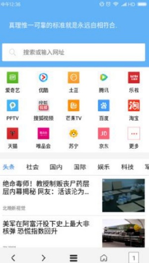 Vip浏览器