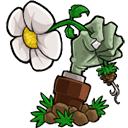 植物大战僵尸重制版