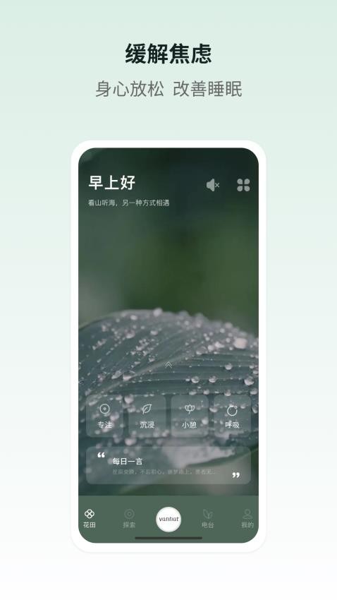 梵花田
