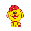 小白记账