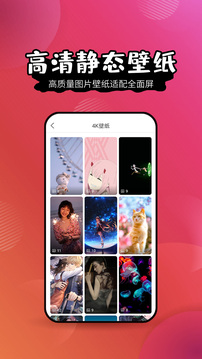最美壁纸精灵