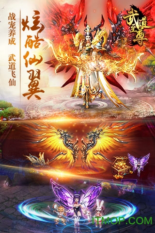 武 道 至 尊