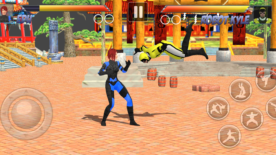 功夫空手道格斗 ios版