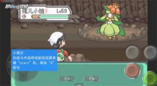 宠物小精灵绿宝石
