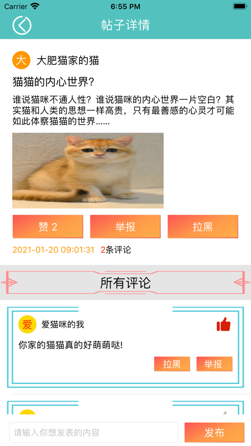 宠猫社区 ios版