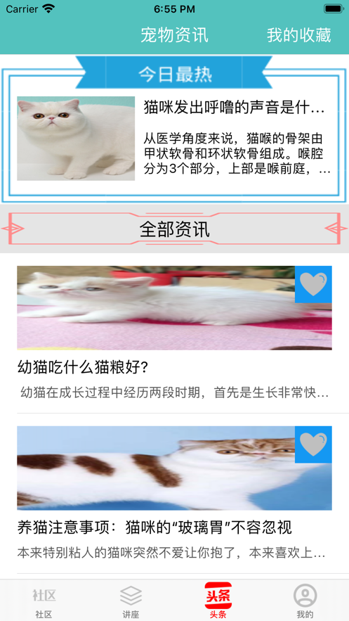 宠猫社区 ios版