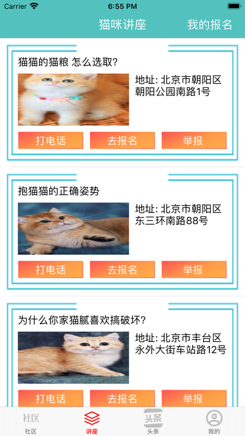 宠猫社区 ios版