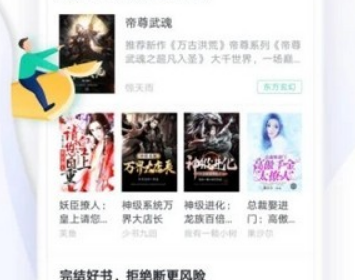 慧斯小说