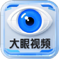 大眼视频工坊