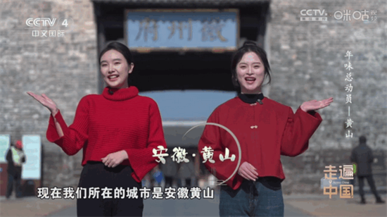 悠悠电视