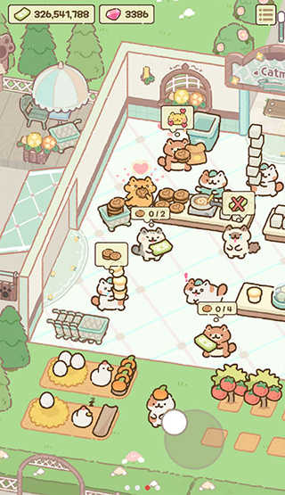 猫市