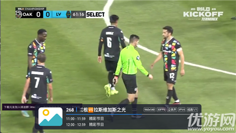 飞蓝电视野草口令版