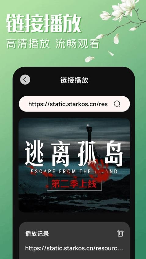 网飞猫
