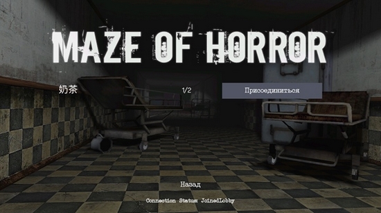 恐怖迷宫联机版（Maze Of Horror）