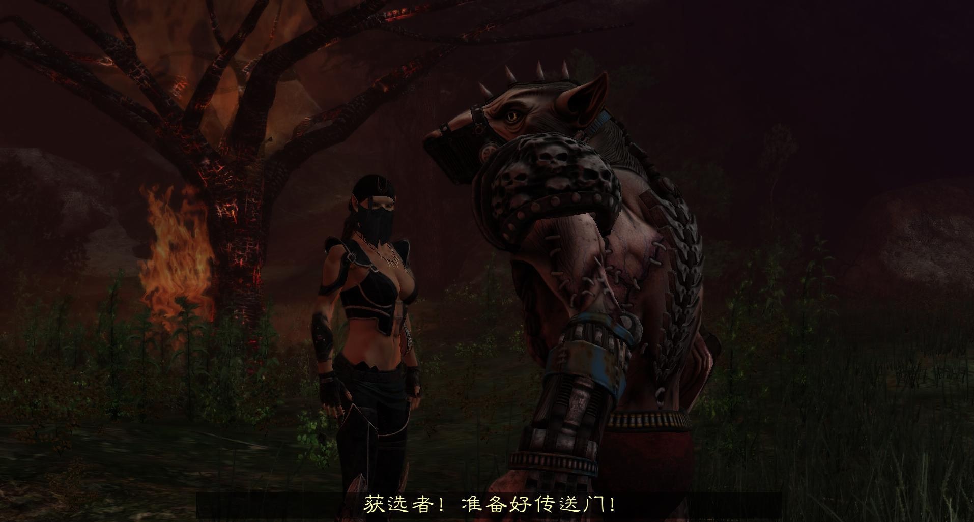 两个世界2黑暗召唤汉化补丁