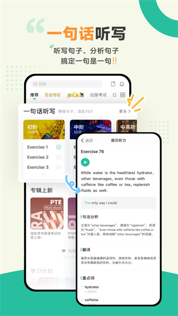 扇贝听力
