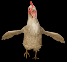 鸡脚