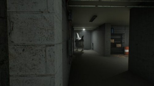 鸡脚
